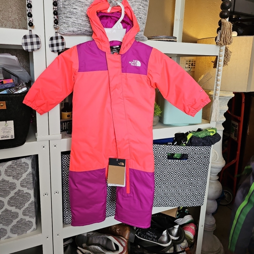 The North Face Pink and Purple Snowsuit